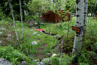 Cabin on the River, Allenspark, Colorado