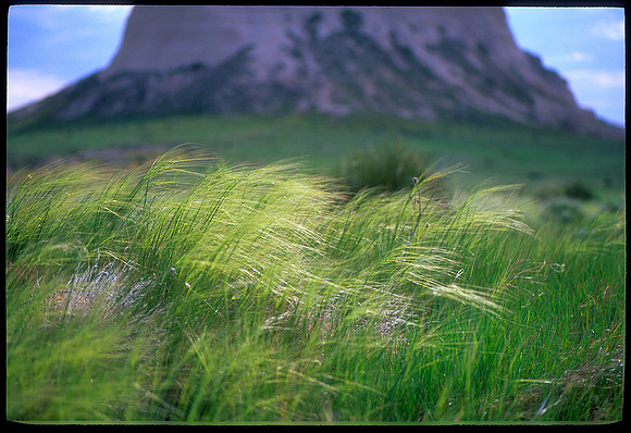 Pawnee National Grasslands, Colorado (2010)