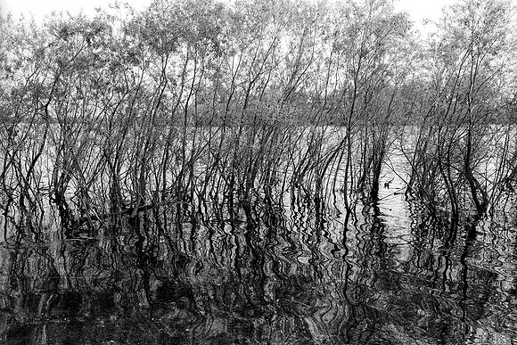 Fort Collins, Colorado-Fossil Lake Reservoir, no.3