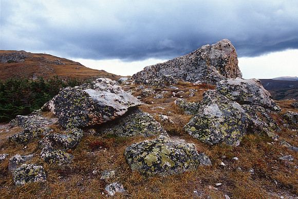 Above timberline, RMNP, Colorado (2012)