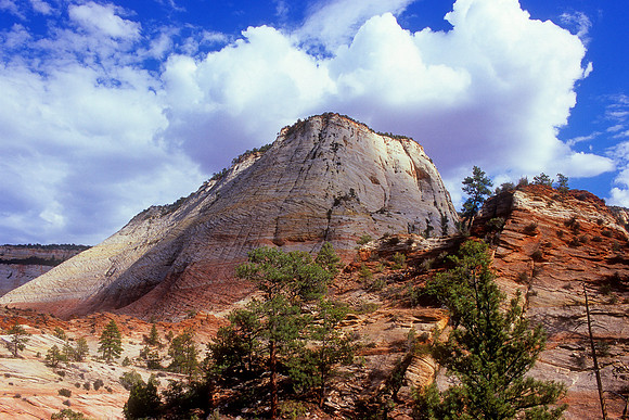 Zion National Park, Utah (2008)