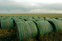 Pawnee National Grasslands, Colorado