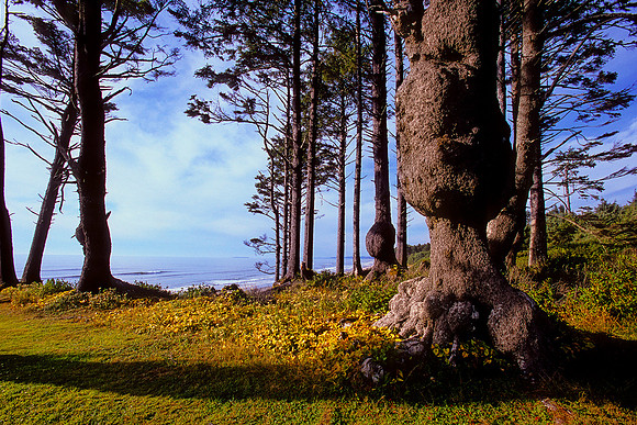 South Beach, Olympic National Park, Washington (2011)