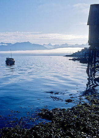 Devil's Thumb from Petersburg, Alaska (1984)