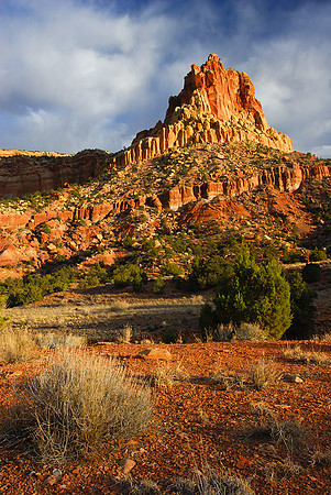 Golden Throne, Capitol Reef National Park.