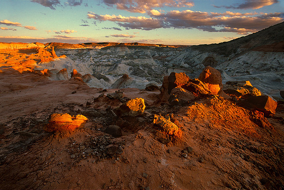 Toad Stools, Grand Staircase - Escalante National Monument, Utah