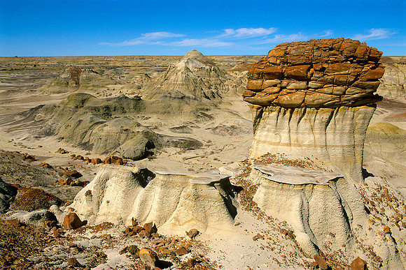 Bisti/De-Na-Zin Wilderness, New Mexico (2016)