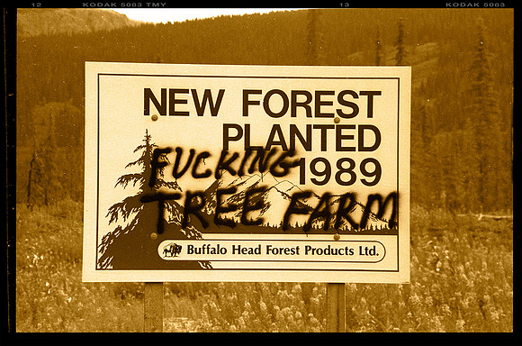 (explitive deleted) Tree Farm, British Columbia