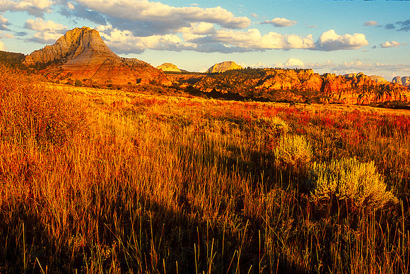 Zion National Park, Utah (2008)