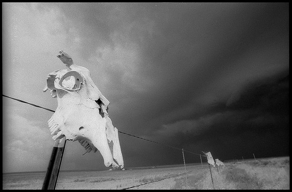 Briggsdale, Colorado
