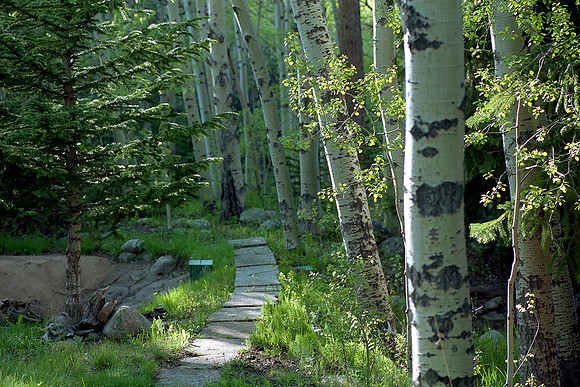 Allenspark, Colorado (2014)