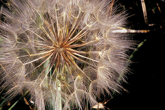 Lory State Park, Colorado (2011)