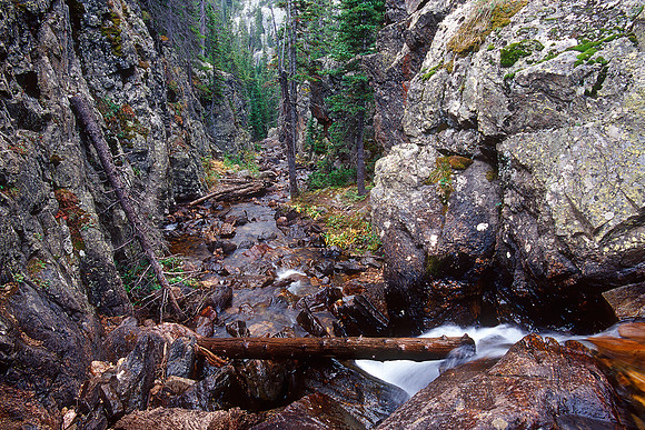 The Fall River, RMNP, Colorado (2012)