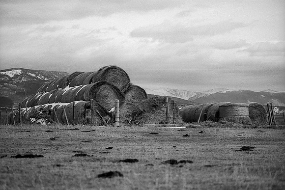 Near Rand, Colorado (2015)