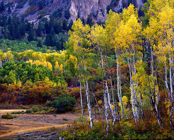 Kebler Pass, Colorado