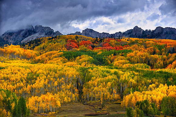 Kebler Pass Aspen (_JBC0358)