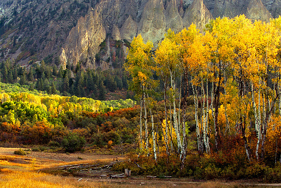 Kebler Pass, Gunnison National Forest, Colorado (2012)