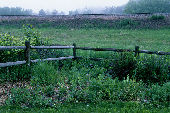 Fort Collins, Colorado (2015)