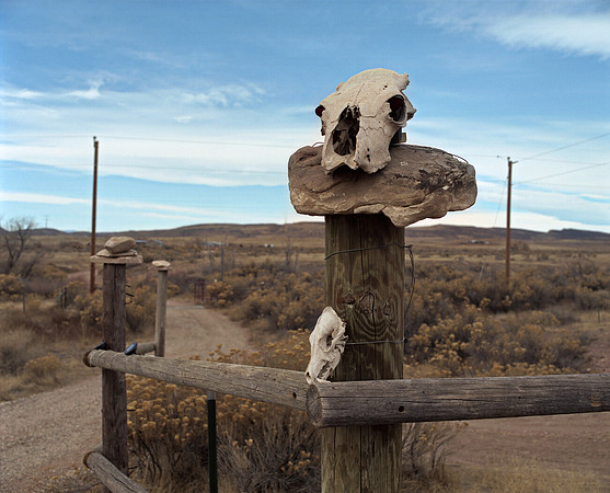 Wellington, Colorado