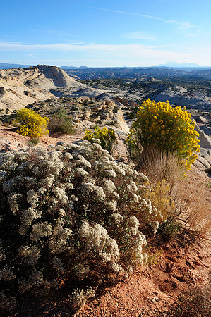 Morning along Highway 12 near Escalante