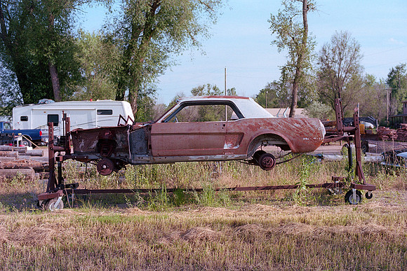 Levitating Mustang, Lyons, Colorado (2015)