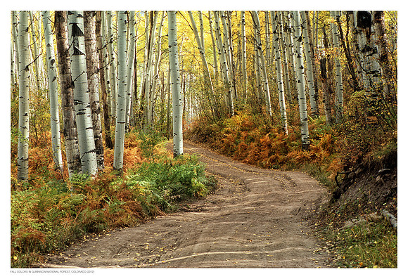 Gunnison National Forest, Colorado