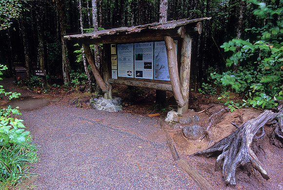 Shi Shi Beach Trail Head, Olympic National Park, Washington (2011)
