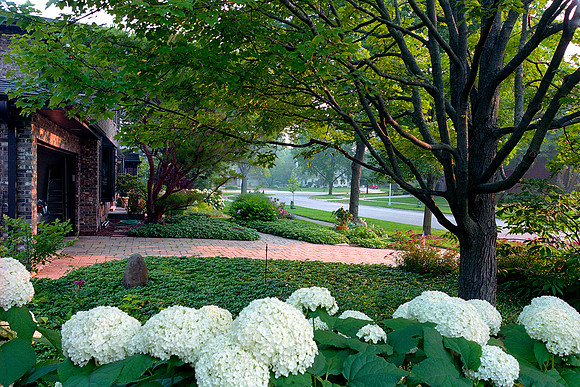 Wheaton, Illinois (2015)