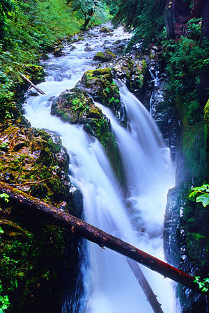 Sol Duc Falls, Olympic National Park, Washington (2011)