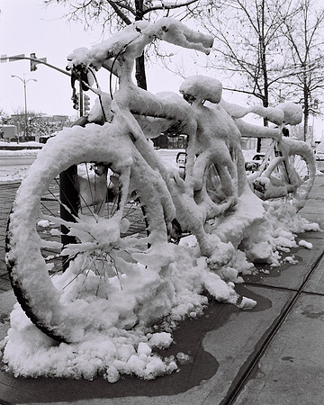 Fort Collins, Colorado