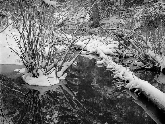 Cache la Poudre Canyon, Colorado