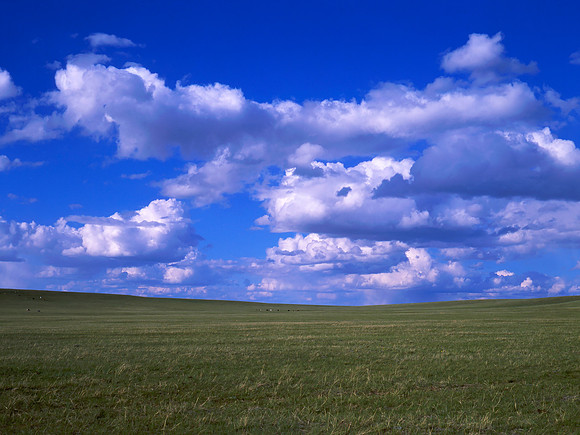 M645-r0008-RVP50-f01