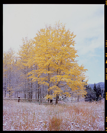 Cache la Poudre Canyon, Colorado