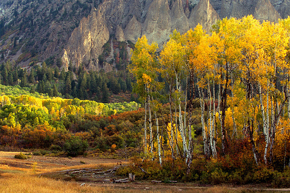 Kebler Pass, Gunnison National Forest, Colorado