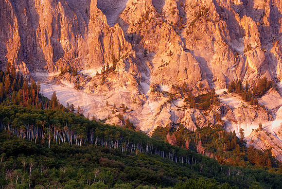 Marcellina Mountain, Kebler Pass, Colorado