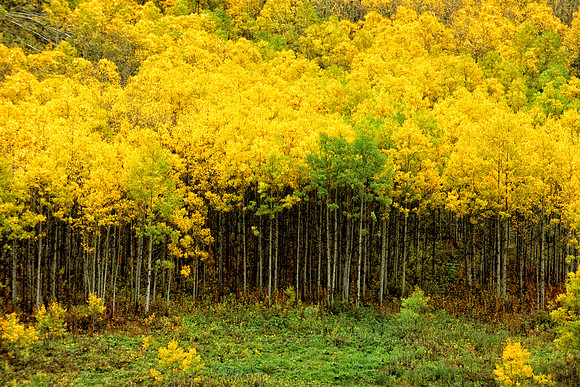 Maroon Bells-Snowmass Wilderness, Colorado