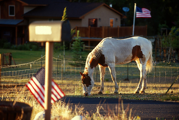 Buena Vista, Colorado