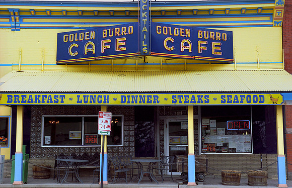 frame 06-Golden Burro