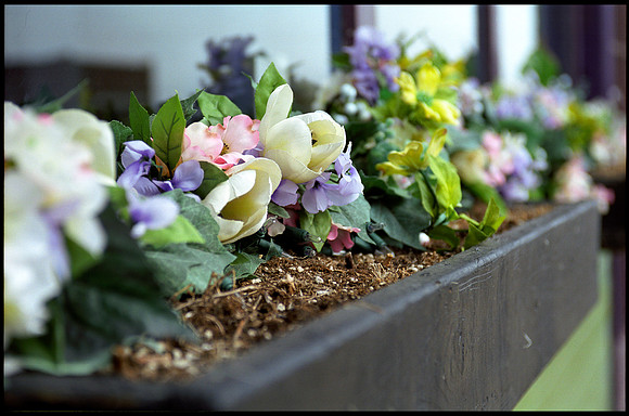 frame 23-fake flowers