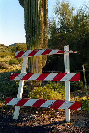 Chandler, Arizona (2013)
