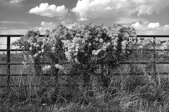 San Luis, Colorado (2015)