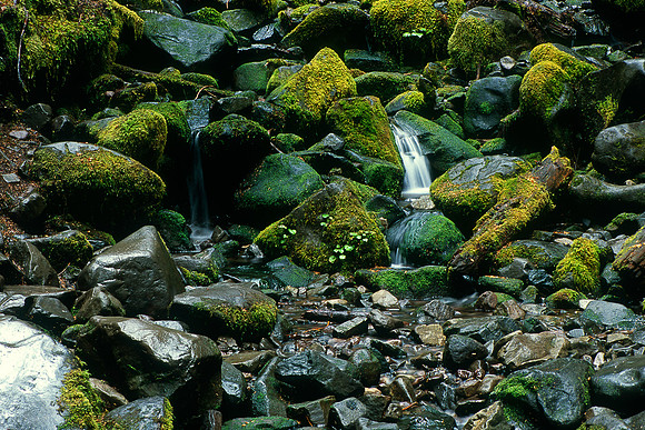 Sol Duc Falls Trail, Olympic National Park, Washington