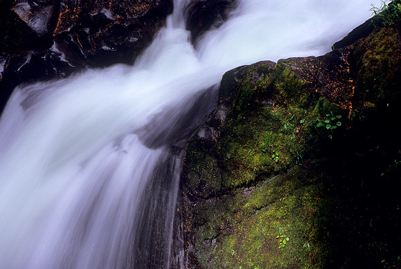 Sol Duc Falls, Olympic National Park, Washington (2011)