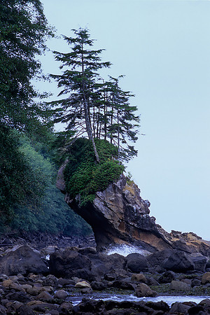 Strait of Juan De Fuca, Olympic Peninsula, Washington