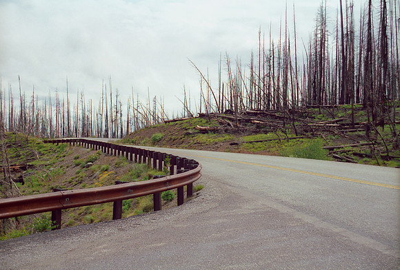 Yellowstone