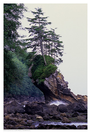 Straights of Jaun de Fuca, Washington