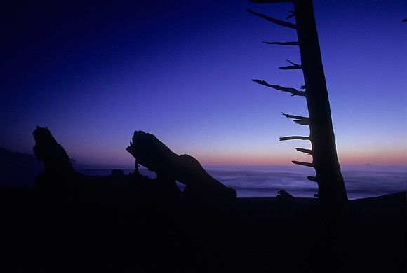 Rialto Beach, Olympic National Park, Washington