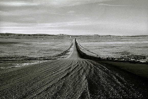 Medicine Bow