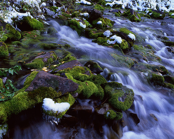 Maroon Creek, Aspen, Colorado