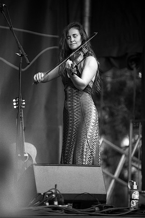 Bridget Law, Elephant Revival (2014)